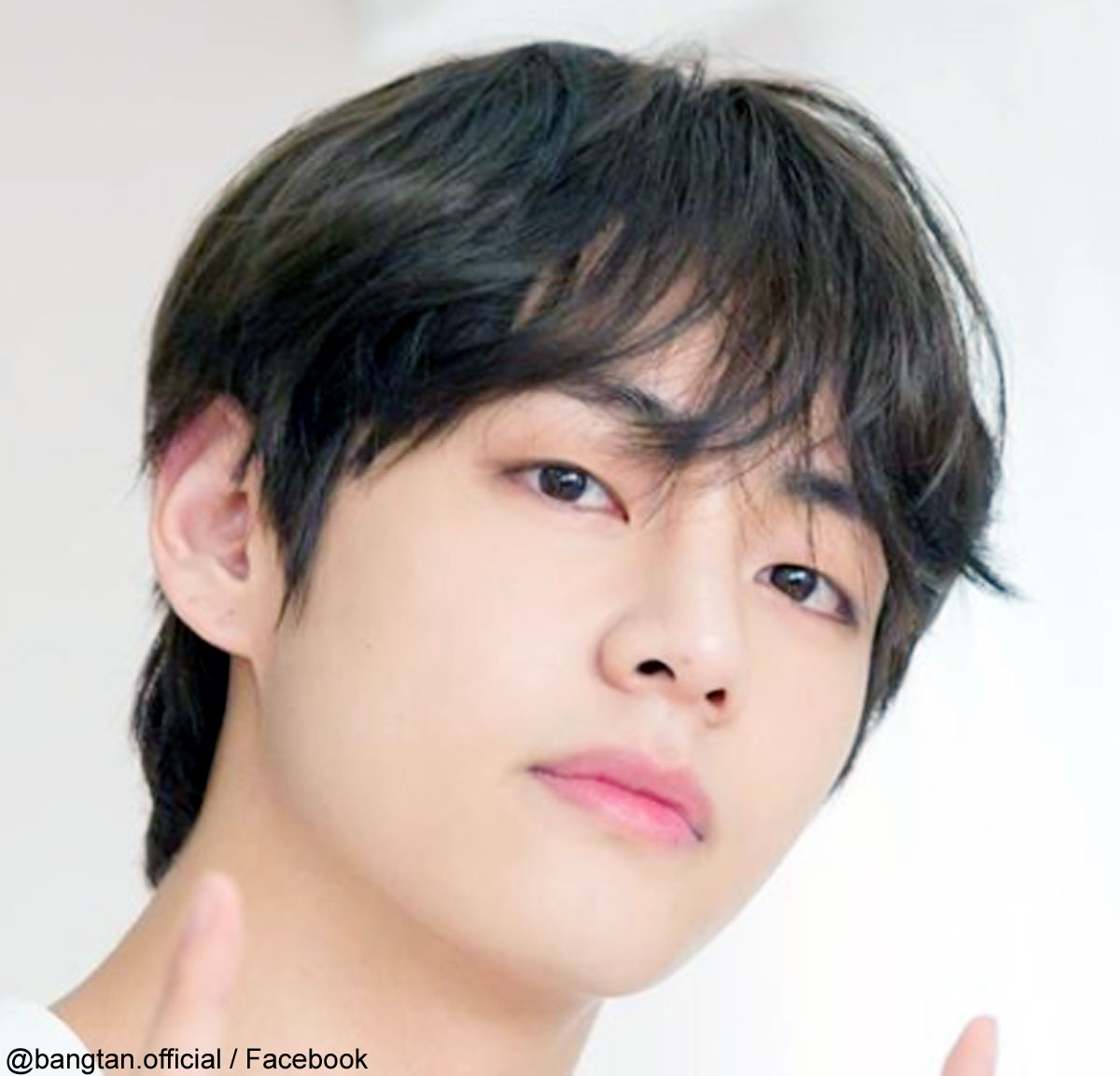 BTS V