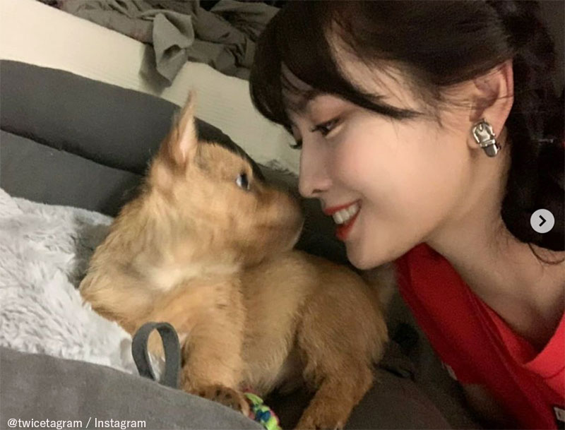 愛犬 Booと見つめ合うTWICE モモ