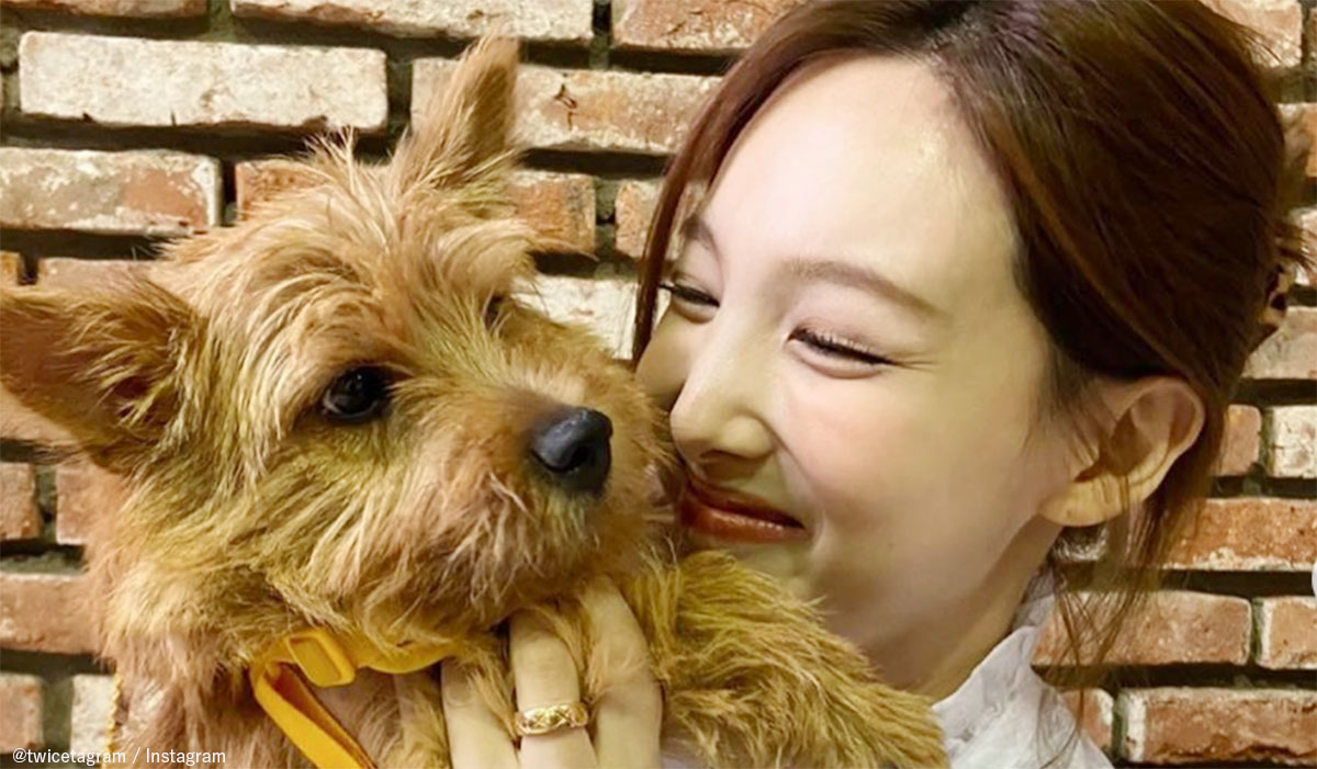 TWICE ナヨンとモモの愛犬ブー