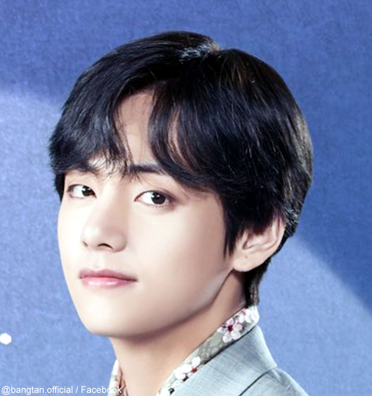 BTS V