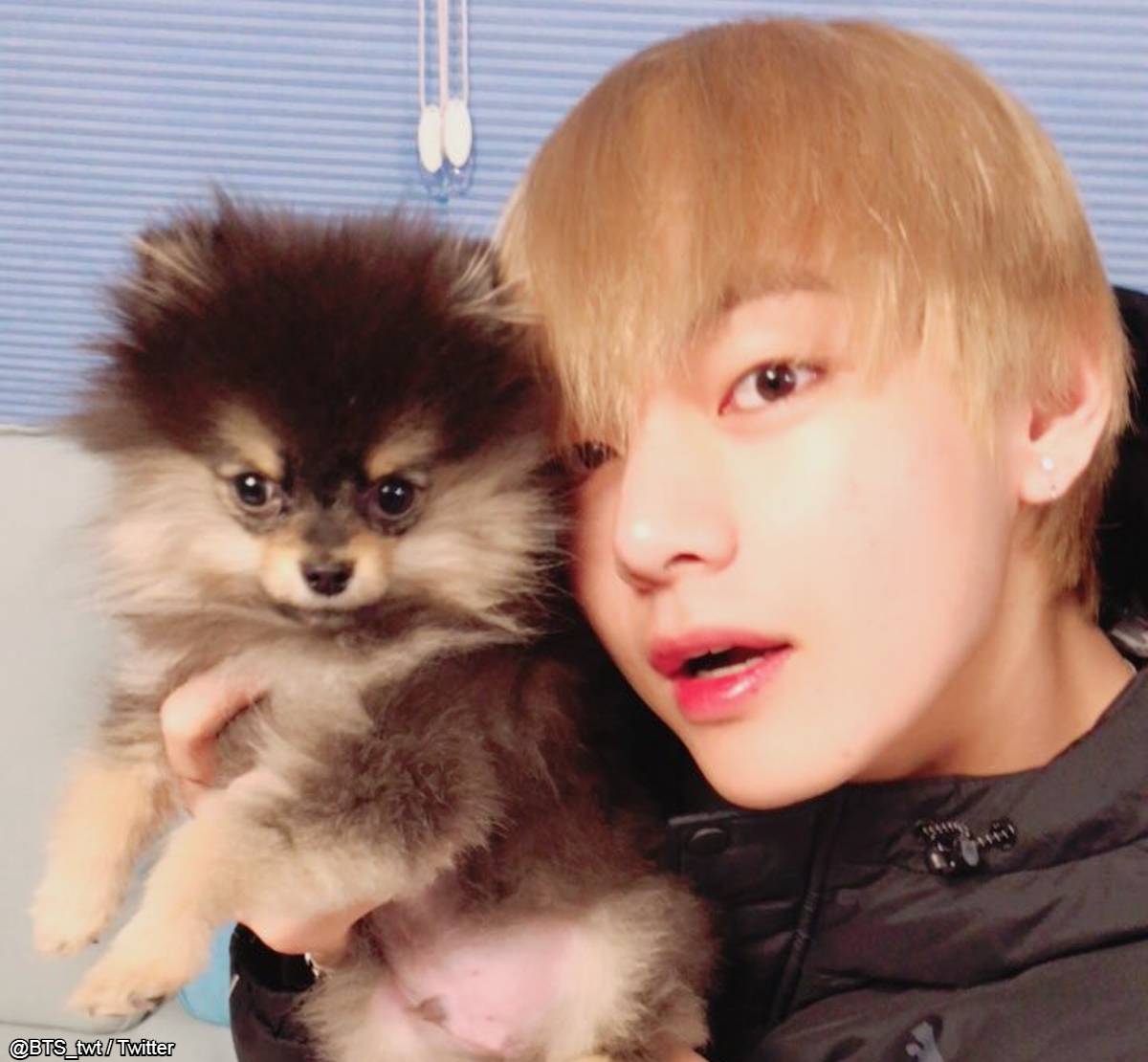 BTS（防弾少年団） VとVの愛犬ヨンタン（タニ）