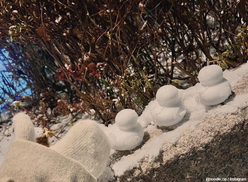 ミヨンがつくったアヒル雪だるま