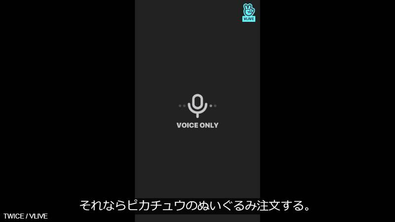 ピカチュウのぬいぐるみまでもインターネットで頼もうとする ナヨン