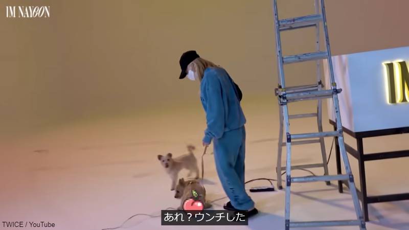 ナヨンの撮影現場でウンチするモモの愛犬 ブー