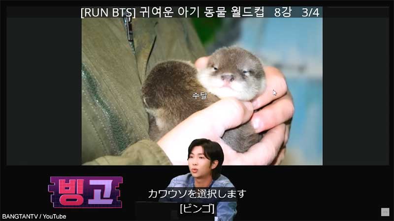 カワウソを選んだRM